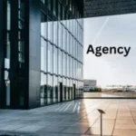 White-label development and reliable technical partnership for digital marketing agencies